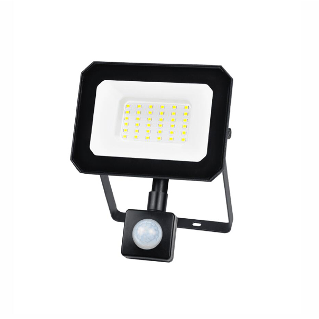 10W 20W 30W 50W 70W 100W LED Floodlight with PIR Motion Sensor (PS-FL-LED084SS-100W)