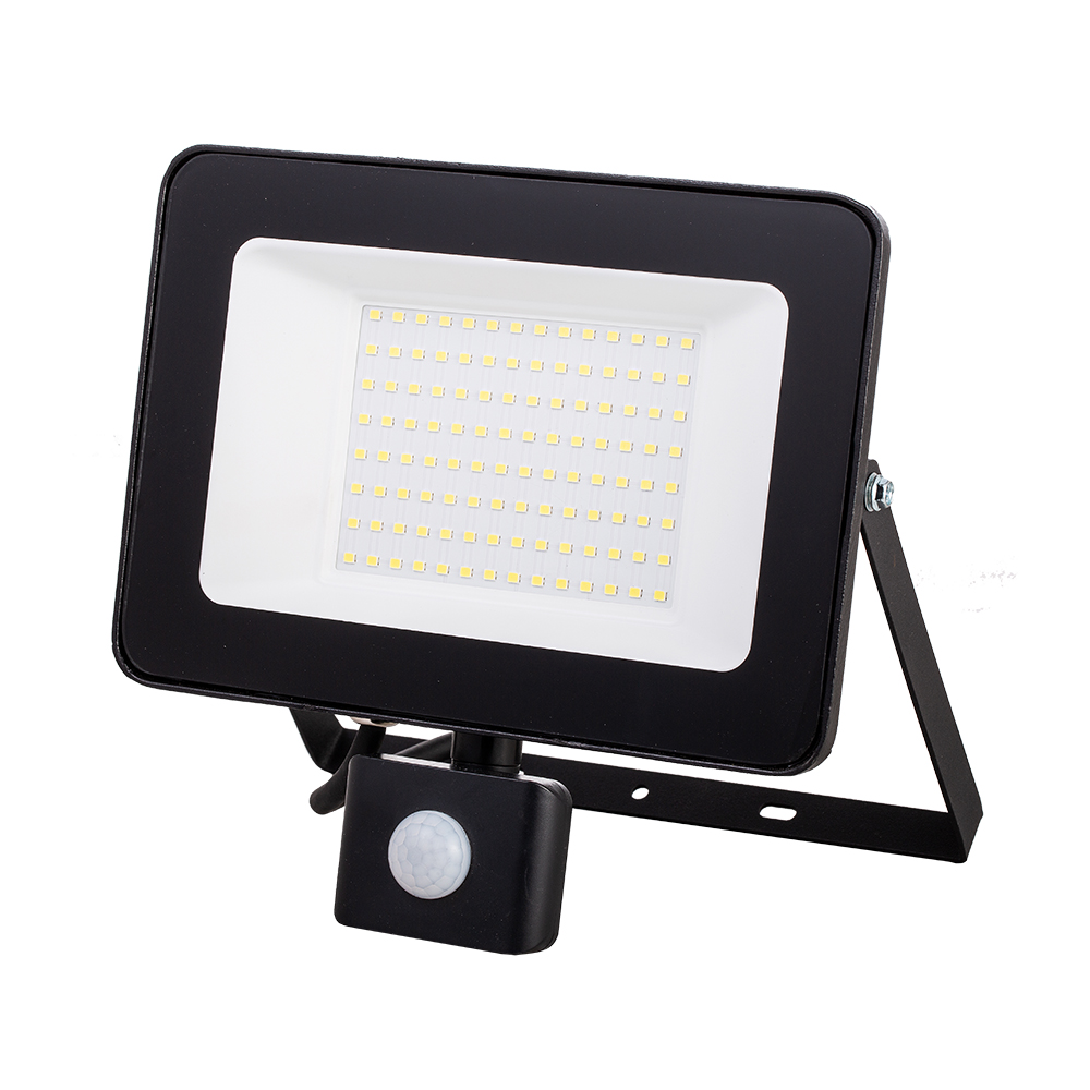 10W 20W 30W 50W 100W Outdoor LED Floodlight with PIR Sensor(PS-FL-LED081SS-10W)