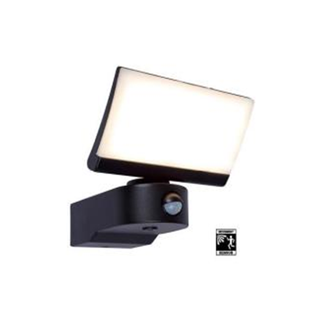 LED Outdoor Wall Light with PIR Motion Sensor (PS-WL75L)