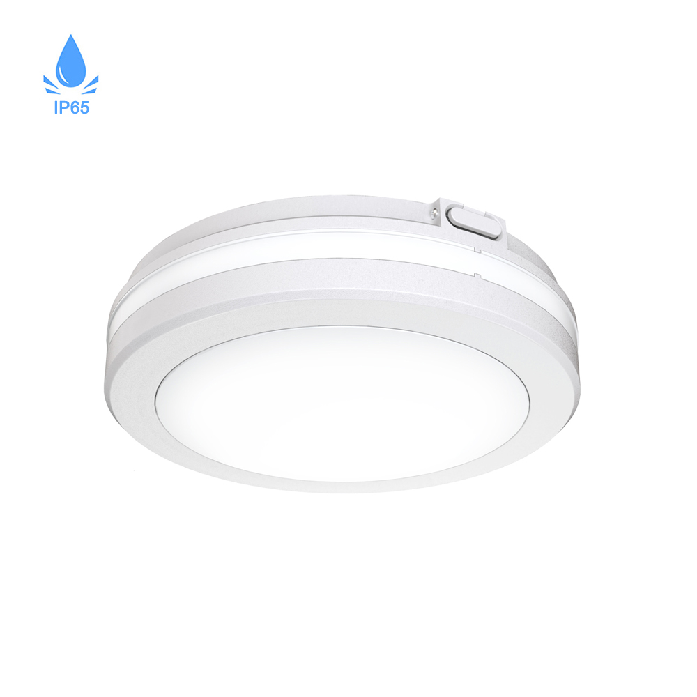 IP65 20W 30W 40W LED Ceiling Light (PS-CL96L-20W)