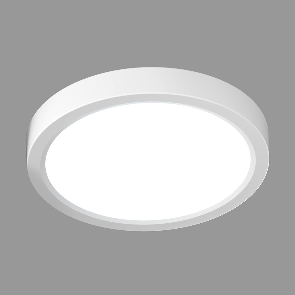 24W 18W 12W 9W 6W LED Round Panel light (PS-DL-R06-24W)
