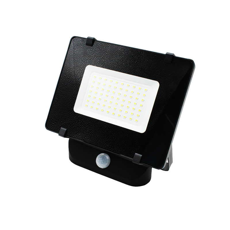 Light Source Replaceable Flood Lights with PIR Motion Sensor (PS-FL-LED085SS-10W)